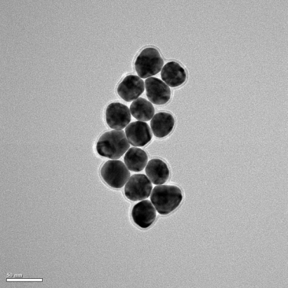 NSG1-5_3_2-1.jpg NSG1-5_3_2-1.jpg